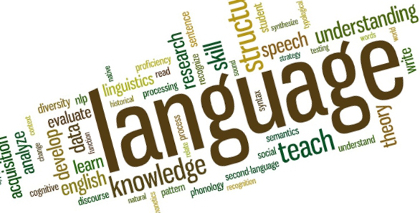 Лингвистика, закон и понятия